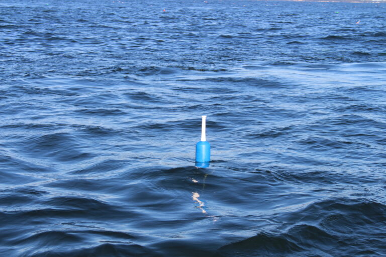 A blue commercial fishery trap buoy floating on the wavy surface of the ocean under clear skies.