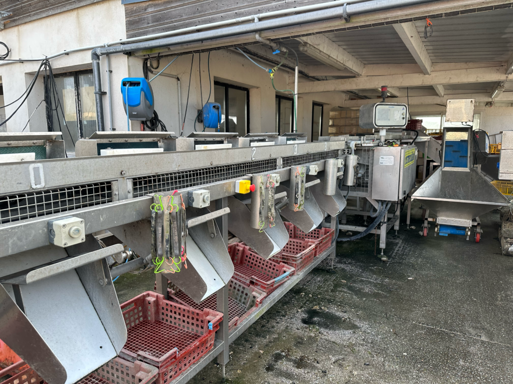 Oyster Grader Tidal Marine