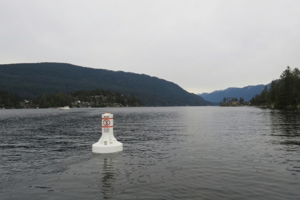 buoy in water